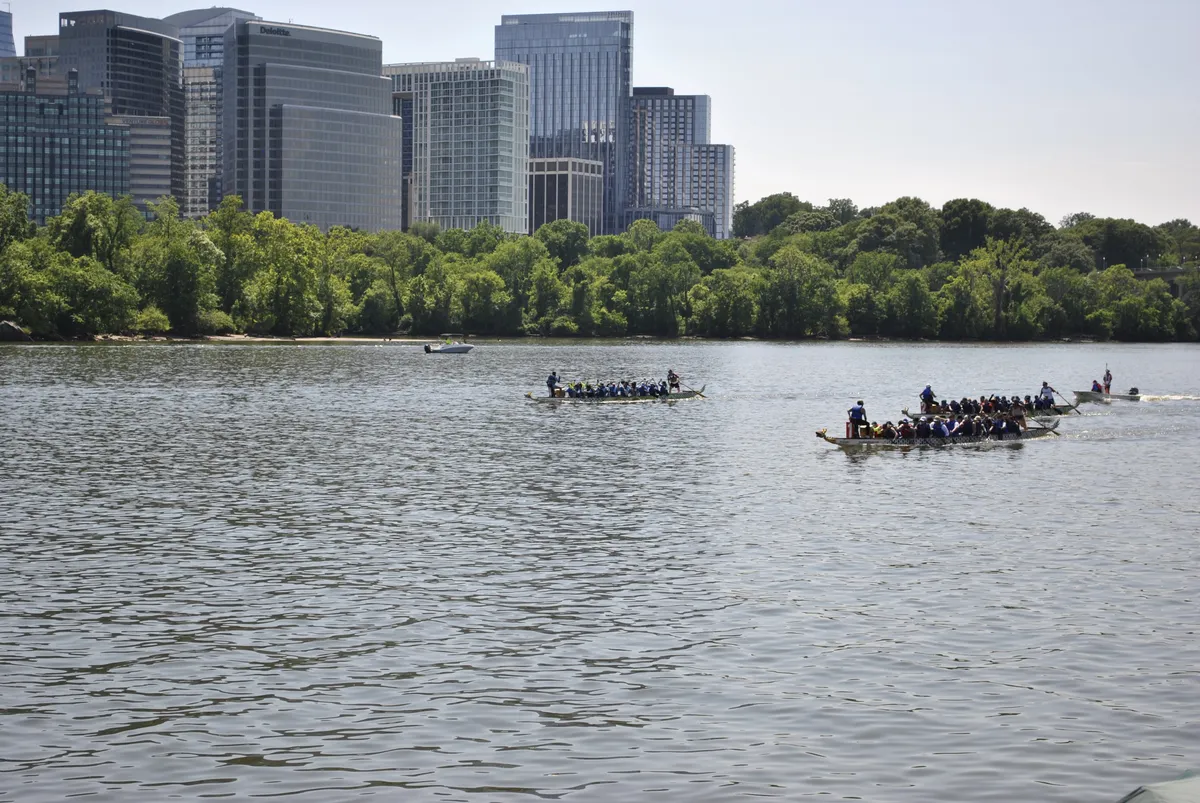 DC Dragon Boat Festival at Georgetown Waterfront Park